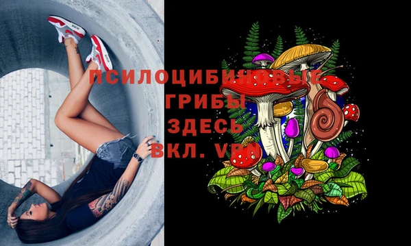 винт Карталы