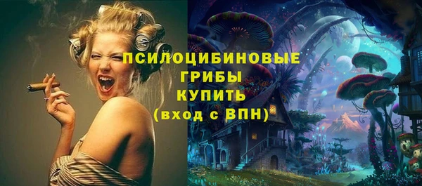 кристаллы Бикин